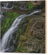 Dunnfield Creek Falls 2 Wood Print