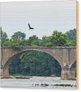 Eagle Above Interurban Bridge  2186 Wood Print
