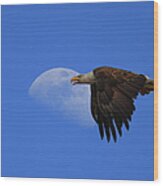 Eagle Moon Wood Print