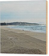 Early Morning Beach Silver Gull Club Wood Print