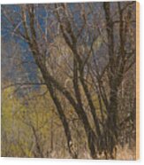 Early Spring Abstract Wood Print