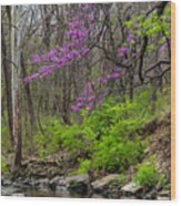 Early Spring On Mill Creek 2 Wood Print