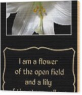 Easter Lily With Song Of Songs Quote Wood Print