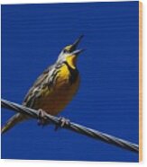 Eastern Meadowlark Wood Print