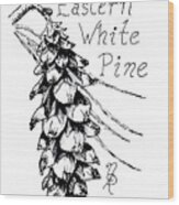 Eastern White Pine Cone On A Branch Wood Print