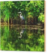 Egret At The Pond Wood Print