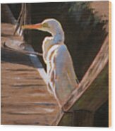 Egret On Dock Wood Print