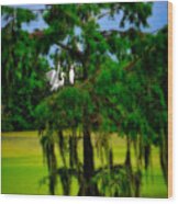 Egret Tree Wood Print