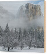 El Capitan Majesty - Yosemite Np Wood Print