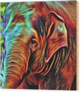 Elephant Abstract Psychedelic By Kaye Menner Wood Print