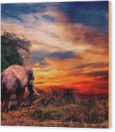 Elephant At Sunset Wood Print