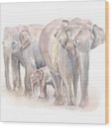 Elephant Family Wood Print
