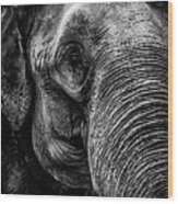 Elephant Portrait In Black And White Wood Print