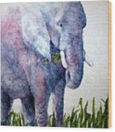 Elephant Sanctuary Wood Print