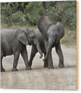 Elephants Childs Play Wood Print