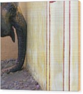 Elephants Trunk Wood Print