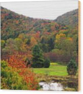 Elk Country Pennsylvania Wood Print
