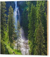 Elk Creek Falls Wood Print