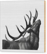 Elk In Black In White Wood Print