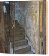 Ellis Island Stairs Wood Print