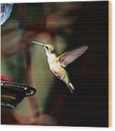 Emerald Beauty - Ruby Throated Hummingbird Wood Print