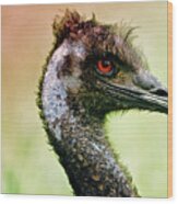 Emu Love Wood Print