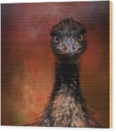 Emu Stare Wood Print