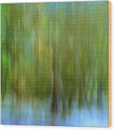 Enchanted Cypress Forest Wood Print