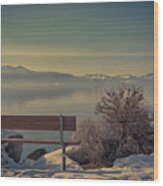 Enjoy The View - Lake Tahoe Wood Print