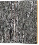 Eucalyptus Wood Print