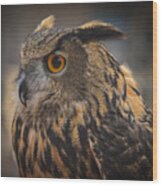 Eurasian Eagle Owl Portrait 2 Wood Print