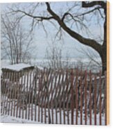 Evanston Winter Wood Print