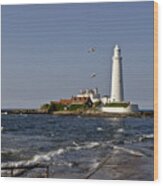 Evening At St. Mary's Lighthouse Wood Print