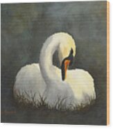 Evening Swan Wood Print