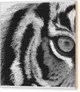 Eye Of The Tiger Wood Print