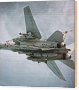 F-14 Tomcat - A Portrait Wood Print