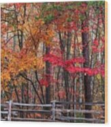 Fall And The Wood Fence Wood Print
