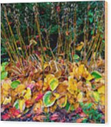 Fall Color - Grass Wood Print