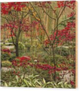 Fall Color In The Japanese Gardens Wood Print