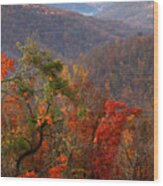 Fall Color Ponca Arkansas Wood Print