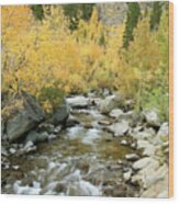 Fall Colors And Rushing Stream - Eastern Sierra California Wood Print