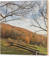 Fall Colors At The Moses Cone Estate Wood Print