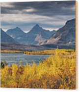 Fall Colors In Glacier National Park Wood Print