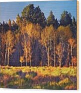 Fall Colors Lone Cone Area Colorado Wood Print