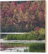 Fall Colours - Thompson Lake 7619 Wood Print
