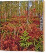 Fall Ferns Wood Print