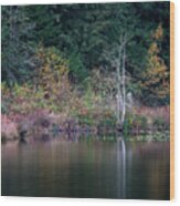 Fall Foliage Reflections On Mill Pond Wood Print