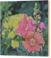 Fall Gardens Snapdragon Wood Print