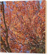 Fall In The Blue Ridge Mountains Wood Print