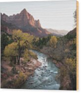 Fall In Zion National Park Wood Print